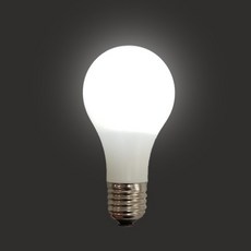 JL매직 오직 마술사의 손에서만 빛이 나오는 마술 매직전구 (Magic Bulb), 1개