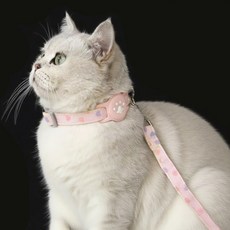 애완동물 에어태그 케이스 목걸이 / 목줄 강아지 고양이 애완동물용 분실 방지, 1개, 핑크색