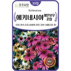 [주주씨앗] 에키네시아 혼합 씨앗 100립 레인보우혼합 종자 씨 다년생 꽃씨 몰 종자 씨 봄 가을 파종 노지월동, 1개