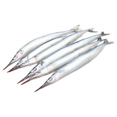 -60도 횟감 동해 학꽁치(대) 학꽁치회 원물 5마리, 1개, 400-500g