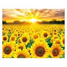 MJS 보석십자수 50 x 40 cm 캔버스형 세트 DIY, F55 - 황금해바라기 마을, 1세트