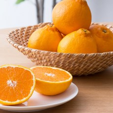 [당도보장] 불만족신속처리 제주직송 한라봉 선물세트, 1개, 품절임박 2kg (소과)