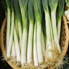 대아프레시 야채 아저씨네 파릇파릇 신선한 국내산 흙대파, 1.8kg, 1박스