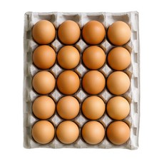 난각번호1번 유정란 달걀 계란 무항생제 자연방사, 20구, 1개