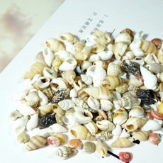 레진 공예 UV 크리스탈 레진 아트 재료 미니 소라 조개 20g 부자재, 1개