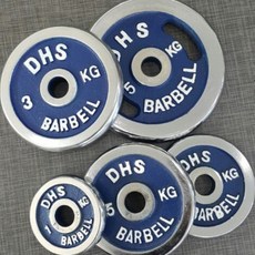 DHS 도금원판, 10kg, 1개