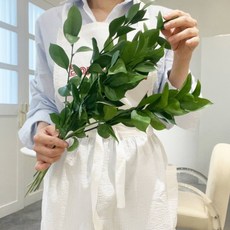 [정아네식탁] 루스커스 무드 한다발 플랜테리어 생화 꽃다발 택배 생화배송, 루스커스 10줄기, 1개