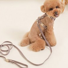 힛찌 강아지 리드줄, 코코아브라운, 1개