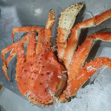 [프리미엄] 수율 80~90% 러시아 레드 브라운 블루 선어 자숙 킹크랩, 1개, 자숙 킹크랩 2kg