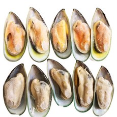 노엘푸드 뉴질랜드 청정지역 그린홍합800g(24~36개), 1개, 800g(24~36개)