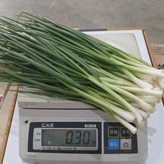 [농수산 장터]깐쪽파 1kg 750g 500g 300g, 1개