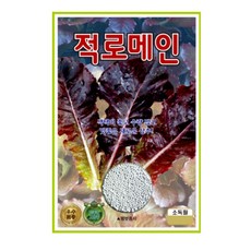 적로메인 상추 씨앗 1500립 진한색상 다수확 고급 로메인 종자 ks, 1개