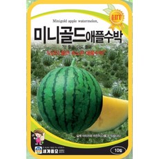 미니수박 씨앗 10립 미니 골드 애플수박 씨앗 종자 수박 과일 씨 봄 여름, 1개