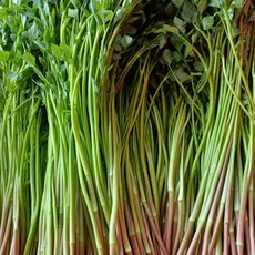 찐무농약친환경청도한재미나리500그램