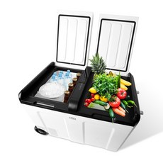 REINA 대용량 차량용 냉장고 냉동고 52L, 혼합색상, RL-5252WS