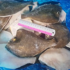 손질 가자미 4.5kg 20-25마리, 23개