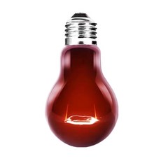 peyto UVA 紅外線加熱燈 100W, 1個, 單一顏色