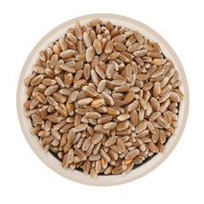 파로 4kg FARRO 엠머 밀 터키산 슈퍼푸드 고대 곡물 통곡물 고대원시곡물, 1개