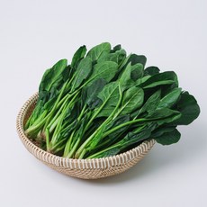 산지직송 시금치 1kg 2kg 4kg 농산물마루, 1개
