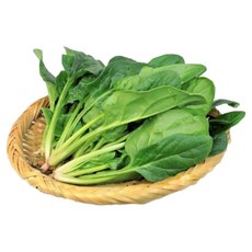 [팜팜]국내산 아삭촉촉 시금치, 1박스, 500g