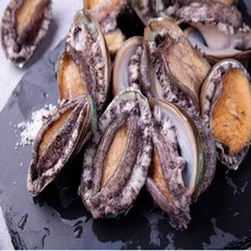 친절한이서방 왕특대 완도 활 전복 직거래, 1박스, (꼬마) 50-60 1kg