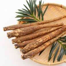 조은먹거리 햇 우엉 특/상/중 2kg 4kg, 2kg(중), 1개