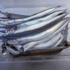 (선주직송) 햇 양미리 반건조 당일조업 양미리 생물 깔끔포장 강릉 사천 주문진, 1박스, A급 반건조 2두름(40마리)