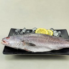 해물총각 민어 제주민어 600g, 1개