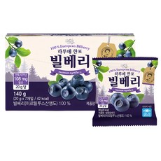 [생활앤] 빌베리 140g (폴란드/20g*7개입), 1개, 140