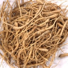 도라지뿌리모종 도라지묘종 도라지모종 도라지종자 도라지종근