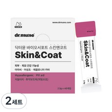 [총 40회 급여] 닥터뮨 투약보조제 스킨앤코트 짜먹이는 강아지 고양이 영양제 바이오서포트, 2세트, 피부/피모, 40회분
