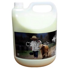 체리쉬 강아지 린스, 1개, 4L