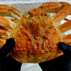 [대게마을] 프리미엄 러시아산 대게 수율 80% 이상 당일배송 100% 맛보증, 1개, 2kg (2마리)