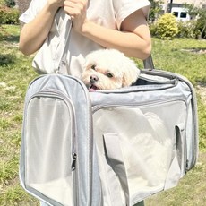 견행묘행 강아지 슬링백 산책가방 여름가방 기내용 이동가방, 라이트그레이, 1개