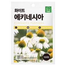주주씨앗 흰색 에키네시아 씨앗 100립 노지월동 다년생 야생화 꽃씨 씨앗몰, 1개