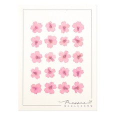 프레스코21 압화 꽃송이 버베나(연분홍) 20p