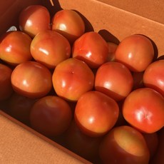 완숙토마토, 1개, 5kg(대과)
