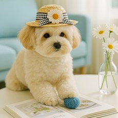 강아지 고양이 알록달록 밀짚모자, 1개, 체크라인 데이지