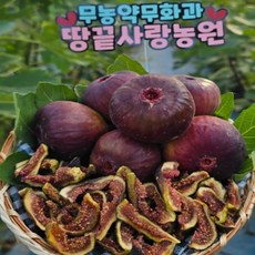 [무농약] 건조무화과 말랭이 달콤한 간식, 100g, 1개
