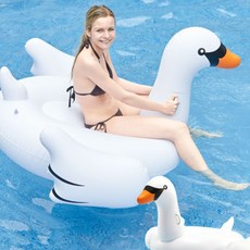 흰색 백조 유아 보행기 튜브 2인용 150cm PS-1, 단품, 1개