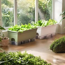 Jeepsaram 1+1 텃밭 화분 긴형 대형 플라스틱 텃밭 상추 수경재배 대파 키우기, 1세트, 1+1 아이보리