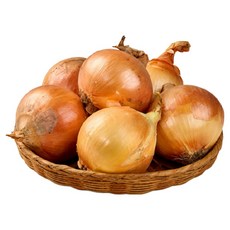 26년 창녕 양파 햇양파, 1개, 10kg(중)