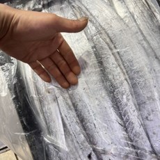 생물 갈치 풀치 목포 먹갈치, 1개, 20~30마리 (4kg)