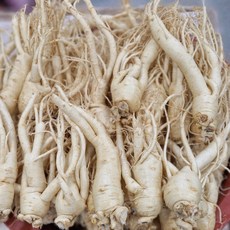 풍기인삼 세척인삼 6년근 5년근 난발삼 1kg/ 750g/ 500g/ 300g 무료택배 삼영인삼사, 301g, 1개