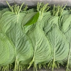 국내산 찹찹이 깻잎 2kg, 1개