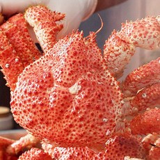 [NANUM-2025] 한농식 레드크랩 1마리당 400g 자연산 스노우 레드크랩 손질 제철 음식, 1세트, 3마리(약 1.2kg이상)