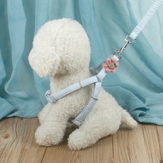 Dmore 狗貓 可愛花朵胸背帶 S, 2個, 藍色