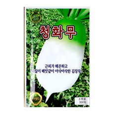 KS종묘 청화무 종자 신속한 비대 연녹색 다수확 무씨앗 절임용 김장용 재배용 300립 KS, 1개