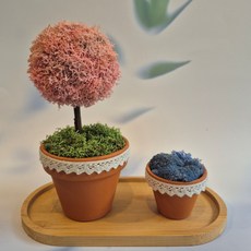 공기정화식물 스칸디아모스 원형 화분 토피어리 개업 집들이 각종 선물 추천 받는 분이 만족도 좋음, 사용안함, 1개, 핑크