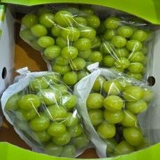 프리미엄 특대 샤인머스켓 고당도 샤인머스캣, 1개, 2 kg ( 3-4수 )